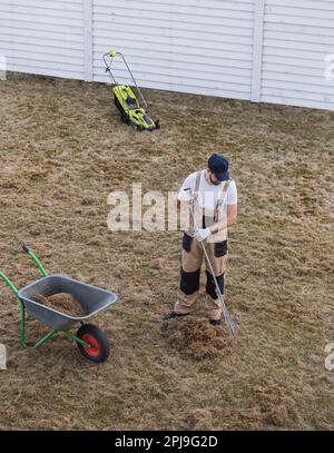 Der Mensch-Gärtner, der den Rasen mit Rechen und Schreckgespenst erschreckt, schreckt den Rasen und entfernt altes Gras Stockfoto