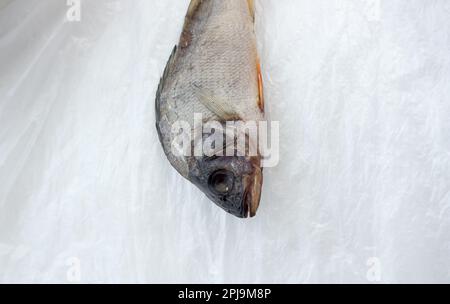 Der getrocknete Fisch auf Zellophan-Hintergrund. Stockfoto