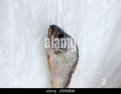 Der getrocknete Fisch auf Zellophan-Hintergrund. Stockfoto