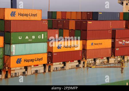 Livorno, Italien - 08 20 2023: Containerterminal mit verstauten Containern verschiedener Verlader-Portalkräne und Trägerschiffe in Livorno. In hori Stockfoto