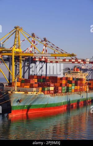 Livorno, Italien - 08 20 2023: Containerterminal mit verstauten Containern verschiedener Verlader-Portalkräne und Trägerschiffe in Livorno. In hori Stockfoto