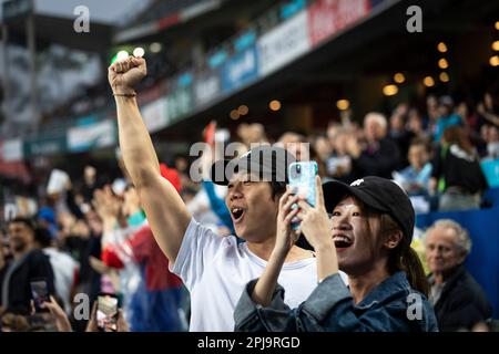 Hongkong, Hongkong. 31. März 2023. Fans jubeln während der Cathay/HSBC Hong Kong Sevens zwischen Hong Kong und Kanada im Hong Kong Stadium. Endergebnis: Kanada 22:5 Hongkong. Kredit: SOPA Images Limited/Alamy Live News Stockfoto