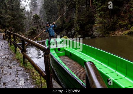 Hrensko, Tschechische Republik. 01. April 2023. Eröffnung der Tourismussaison in Hrensko in der Region Decin mit dem Betrieb von Booten auf dem Fluss Kamenice; Die aufgrund der Folgen des massiven Feuers im Tschechischen Schweizer Nationalpark im letzten Jahr nur vom unteren Dock in der Divoka-Schlucht im Kreisverkehr segeln, 1. April 2023, Decin-Region. Ferrywoman Alice Urbankova bereitet das Boot für die erste Reise des Jahres vor. Kredit: Ondrej Hajek/CTK Photo/Alamy Live News Stockfoto