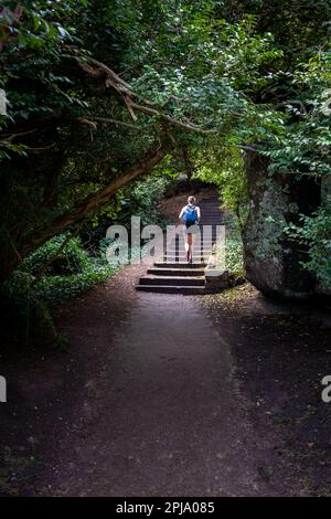 Eine Junge Frau Mit Rucksack Klettert Auf Dem Wanderweg Durch Den Wald In Der Bretagne, Frankreich, Steile Treppen Hinauf Stockfoto