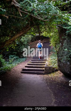 Eine Junge Frau Mit Rucksack Klettert Auf Dem Wanderweg Durch Den Wald In Der Bretagne, Frankreich, Steile Treppen Hinauf Stockfoto