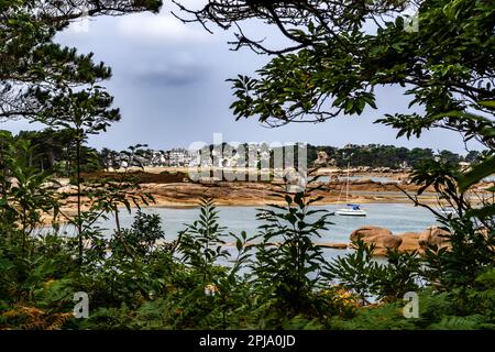 Sandy Beach Und Pink Granit Boulders An Der Atlantikküste Von Ploumanach Und Saint-Guirec In Der Bretagne, Frankreich Stockfoto