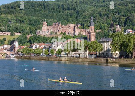 Ruderbootwettbewerb oder Regatta auf dem Neckar unterhalb der historischen Renaissance Heidelberger Burg auf dem Hügel von Konigsthul und der Altstadt. Heidelberg. Stockfoto