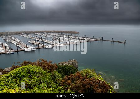 Blick Vom Exotischen Garten Des Dorfes Roscoff Am Hafen Port De Plaisance An Der Atlantikküste Der Bretagne, Frankreich Stockfoto