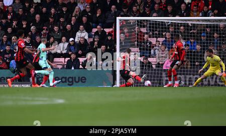 Bournemouth, Großbritannien. 01. April 2023. 1. April 2023; Vitality Stadium, Boscombe, Dorset, England: Premier League Football, AFC Bournemouth gegen Fulham; Andreas Pereira von Fulham schießt und trifft in der 18. Minute und bringt den Punktestand auf 0-1 Punkte: Action Plus Sports Images/Alamy Live News Stockfoto