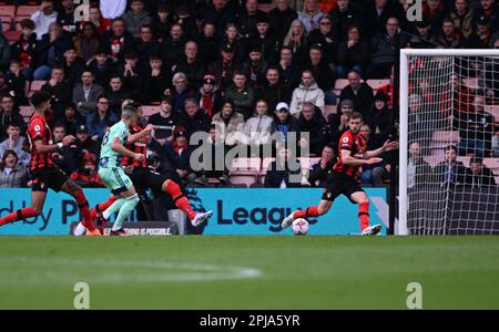 Bournemouth, Großbritannien. 01. April 2023. 1. April 2023; Vitality Stadium, Boscombe, Dorset, England: Premier League Football, AFC Bournemouth gegen Fulham; Andreas Pereira von Fulham schießt und trifft in der 18. Minute und bringt den Punktestand auf 0-1 Punkte: Action Plus Sports Images/Alamy Live News Stockfoto