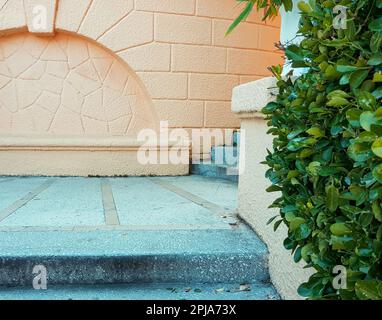 Wunderschöner Steinbogen in der Wand an der Treppe mit grünen Pflanzen. Stockfoto