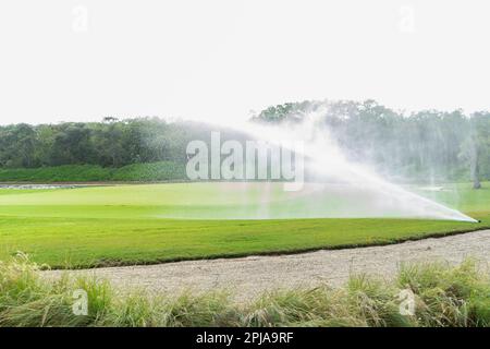 Automatische und technologische Sprinkleranlage auf einem grünen Rasen, im Hintergrund die tropischen Bäume und der sonnenbeleuchtete Himmel in Mexiko Stockfoto