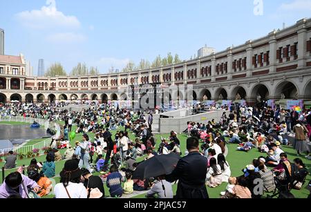 Tianjin, China. 31. März 2023. (230401) -- TIANJIN, 1. April 2023 (Xinhua) -- Touristen besuchen das historische Stadtgebiet Wudadao oder die fünf großen Avenues in Nordchina Tianjin, 1. April 2023. Das historische Stadtgebiet Wudadao oder die fünf Großen Avenues im Norden Chinas in Tianjin lockten vor kurzem während der Blütezeit der chinesischen blühenden Krabben Scharen von Besuchern an. Um den durch die Blüten ausgelösten Tourismusboom weiter zu nutzen, hat der Bezirk Heping in Tianjin von März 31 bis April 9 eine Reihe von Veranstaltungen zum Thema Chinesische blühende Krabben mit einer Floßparade und Licht ins Leben gerufen Stockfoto