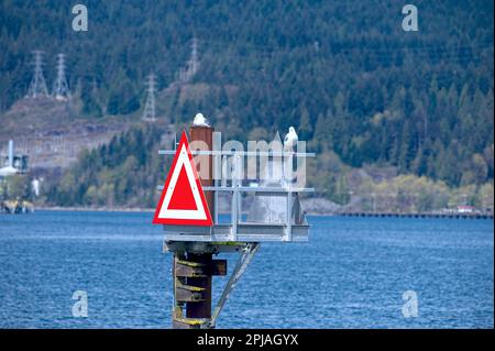 Steuerbord-Daybeacon-Zeichen – wird als Kanalmarkierung verwendet, um die Steuerbordseite (rechts) des Kanals anzuzeigen, wenn es stromaufwärts weitergeht. Stockfoto