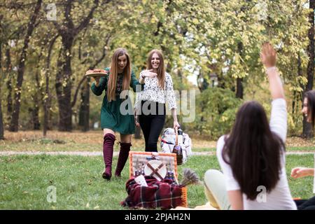 Zwei Frauen, die mit ihren Freunden im Park ein Picknick machen, bringen Snacks und Getränke mit. Stockfoto