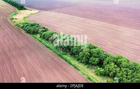 Luftaufnahme leerer, nicht gesäter landwirtschaftlicher Felder, die jedoch mit bearbeitetem Boden zubereitet wurden. Hochwertige ukrainische Chernozeme. Stockfoto