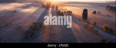 Beginnen Sie den Tag mit einer friedlichen Fahrt durch die neblige Landschaft. Dieses atemberaubende Foto zeigt die ruhige Schönheit einer Landstraße in den frühen Jahren Stockfoto