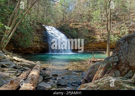 Ein voller Blick auf den fließenden Wasserfall, der an einem sonnigen Tag im frühen Frühling in einen türkisfarbenen Pool aus Wasser fällt, umgeben von Felsen und Bäumen Stockfoto