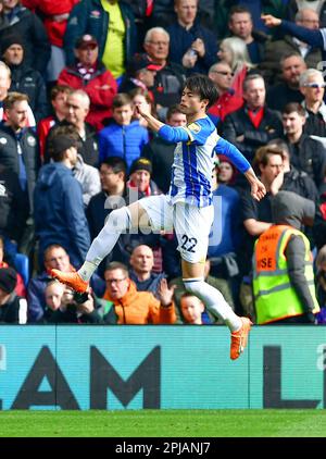 Brighton, Großbritannien. 01. April 2023. Kaoru Mitoma von Brighton und Hove Albion feiert sein Tor beim Premier League-Spiel zwischen Brighton & Hove Albion und Brentford am 1. 2023. April im Amex in Brighton, England. (Foto von Jeff Mood/phcimages.com) Kredit: PHC Images/Alamy Live News Stockfoto