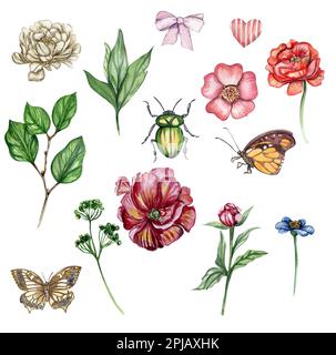 Aquarell-Illustration mit Blumenelementen, Schmetterling. Handgezeichnete Blüten mit Aquarell auf einem weißen, isolierten Hintergrund. Stockfoto