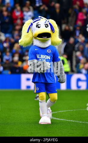 Brighton, Großbritannien. 01. April 2023. Sally the Seagull vor dem Spiel der Premier League zwischen Brighton & Hove Albion und Brentford bei der Amex am 1. 2023. April in Brighton, England. (Foto von Jeff Mood/phcimages.com) Kredit: PHC Images/Alamy Live News Stockfoto