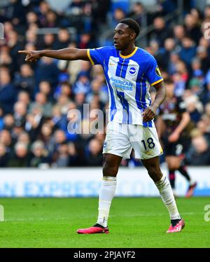 Brighton, Großbritannien. 01. April 2023. Danny Welbeck von Brighton und Hove Albion während des Premier League-Spiels zwischen Brighton & Hove Albion und Brentford im Amex am 1. 2023. April in Brighton, England. (Foto von Jeff Mood/phcimages.com) Kredit: PHC Images/Alamy Live News Stockfoto