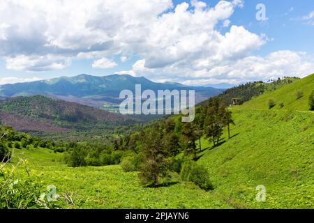 Landschaft der Trialeti (Kaukasus) Berge mit der M-20 Straße zum Tskhratskaro Pass und der alten Bakuriani Skilift, üppig grünen Bergen und Grasland Stockfoto