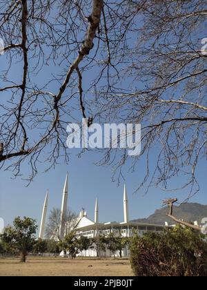 Faisal Moschee am sonnigen Tag, Islamabad, Pakistan Stockfoto