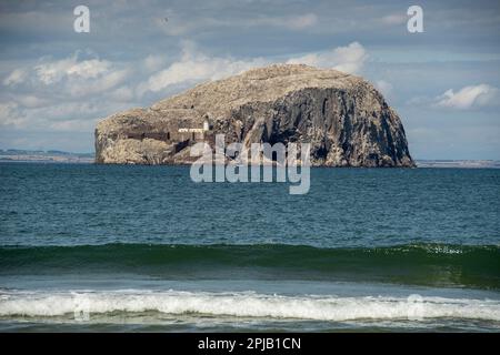 Bass Rock vom Seacliff Beach in der Nähe von North Berwick, East Lothian, Schottland Stockfoto