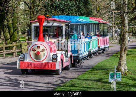 Cobh, County Cork, Irland. 1. April 2023. Die Sonne schien heute im Fota Wildlife Park in Cobh, der viele Besucher zu den Tieren brachte. Kredit: AG News/Alamy Live News Stockfoto