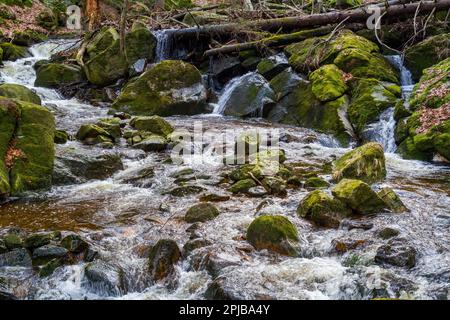 Harz-Nationalpark Ilse-Tal Stockfoto