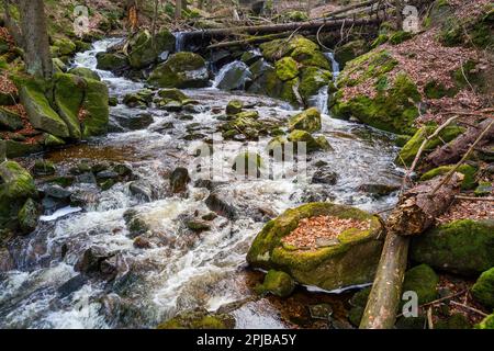 Harz-Nationalpark Ilse-Tal Stockfoto