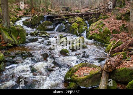 Harz-Nationalpark Ilse-Tal Stockfoto