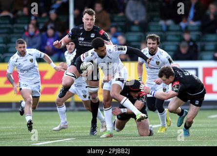 Der Rio Dyer (Zentrum) der Dragons wird während der EPCR Challenge Cup-Runde des 16-Spiels im Scotstoun Stadium in Glasgow angegriffen. Foto: Samstag, 1. April 2023. Stockfoto