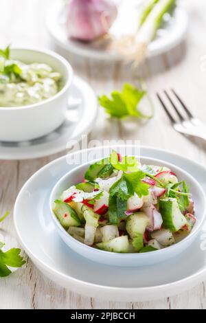 Frühlingssalat mit Rettich, Gurke und Avocado. Mit Avocado dop und Schalen Stockfoto