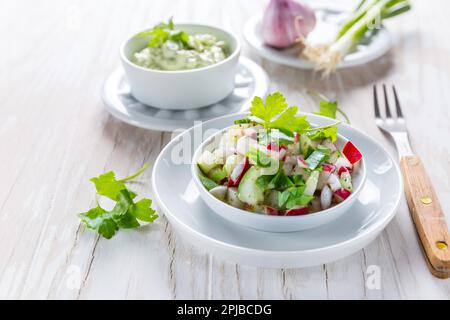 Frühlingssalat mit Rettich, Gurke und Avocado. Mit Avocado-Dip und Schalen Stockfoto