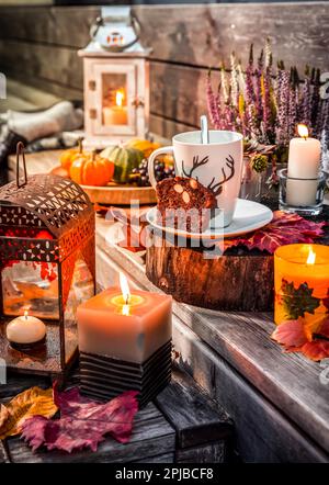 Schöne Herbstterrasse Dekoration mit Kürbissen, Laterne, Pflanzen und Blumen Stockfoto