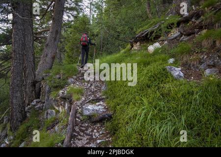 Touristen, die den Via Ferrata Trail mit Ausrüstung in den dolomiten überqueren. Dolomiten, Italien, Dolomiten, Italien, Europa Stockfoto