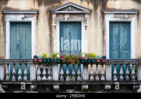 Balkon von Venedig. Alter Balkon in Venedig mit Pflanzen in einem wunderschönen, veralteten Gebäude. Stockfoto