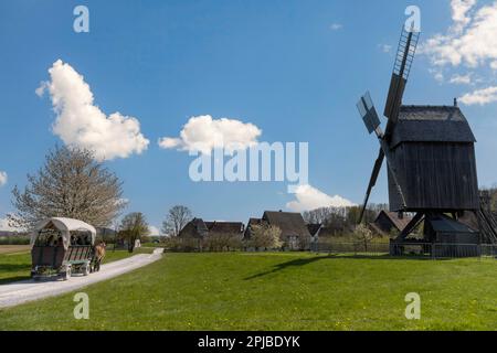 Westfälisches Staatsmuseum für Folklore, Bockwindmühle, Landschaftsverband Westfalen-Lippe, LWL-Freilichtmuseum, Detmold, Nordrhein-Westfalen Stockfoto