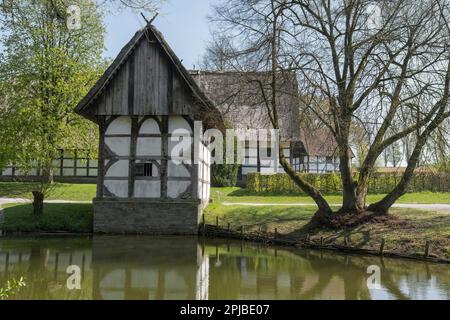 Westfälisches Staatsmuseum für Folklore, Lippischer Meierhof, Regionale Vereinigung Westfalen-Lippe, LWL-Freilichtmuseum, Detmold, Norden Stockfoto