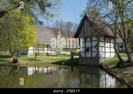 Westfälisches Staatsmuseum der Folklore, Bauernkomplex Lippischer Hof, Landschaftsverband Westfalen-Lippe, LWL-Freilichtmuseum, Detmold, Norden Stockfoto