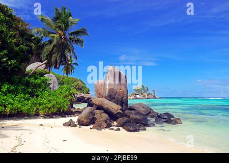 Kokospalmen und Granitfelsen am Traumstrand Anse Royal, Mahe Island, Seychellen Stockfoto