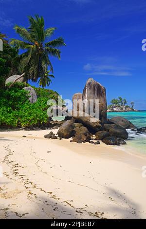 Kokospalmen und Granitfelsen am Traumstrand Anse Royal, Mahe Island, Seychellen Stockfoto