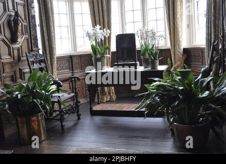 Orchideenfestival Burton Agnes Hall, East Yorkshire, England 2023 Stockfoto