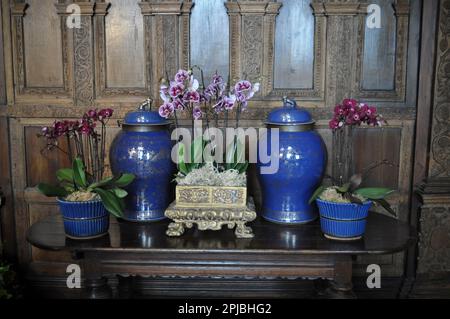 Orchideenfestival Burton Agnes Hall, East Yorkshire, England 2023 Stockfoto