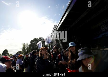1. April 2023, Albert Park, Melbourne, FORMEL 1 ROLEX AUSTRALIAN GRAND PRIX 2023, in der Filmzuschauer in der Melbourne Fanzone. Stockfoto