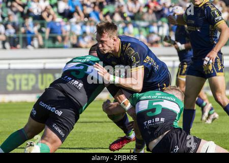 Treviso, Italien. 01. April 2023. 01/04/2023; Foto Alfio Gurise; Challenge Cup; Stadio Monigo Treviso; Benetton Treviso vs Connacht; Rugby; Ottavi di Finale; Benetton Treviso vs Connacht Rugby, Rugby Challenge Cup in Treviso, Italien, April 01 2023 Kredit: Unabhängige Fotoagentur/Alamy Live News Stockfoto