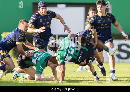 Treviso, Italien. 01. April 2023. 01/04/2023; Foto Alfio Gurise; Challenge Cup; Stadio Monigo Treviso; Benetton Treviso vs Connacht; Rugby; Ottavi di Finale; Benetton Treviso vs Connacht Rugby, Rugby Challenge Cup in Treviso, Italien, April 01 2023 Kredit: Unabhängige Fotoagentur/Alamy Live News Stockfoto