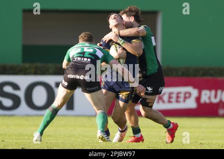 Treviso, Italien. 01. April 2023. 01/04/2023; Foto Alfio Gurise; Challenge Cup; Stadio Monigo Treviso; Benetton Treviso vs Connacht; Rugby; Ottavi di Finale; Benetton Treviso vs Connacht Rugby, Rugby Challenge Cup in Treviso, Italien, April 01 2023 Kredit: Unabhängige Fotoagentur/Alamy Live News Stockfoto